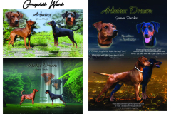 Print-Design-Catalog13-scaled