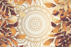 Print-Design-Catalog38-e1619017204230
