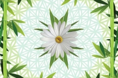 Print-Design-Catalog39-e1619018220996